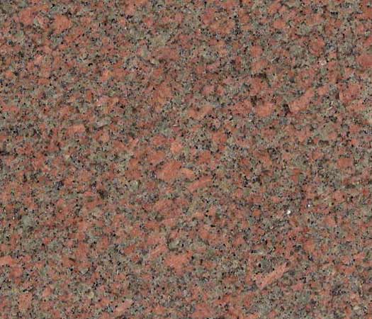 Bohus Rot
