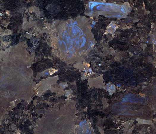 Labrador Blue Polaris