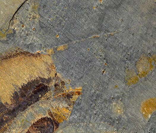 Multicolor Slate
