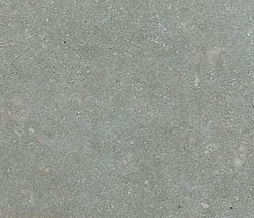 Seagrass